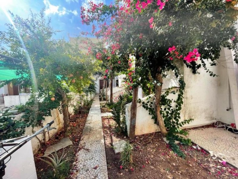 Makry Gialos Südostkreta, Makry Gialos: Apartmentkomplex zur Renovierung zu verkaufen Gewerbe kaufen